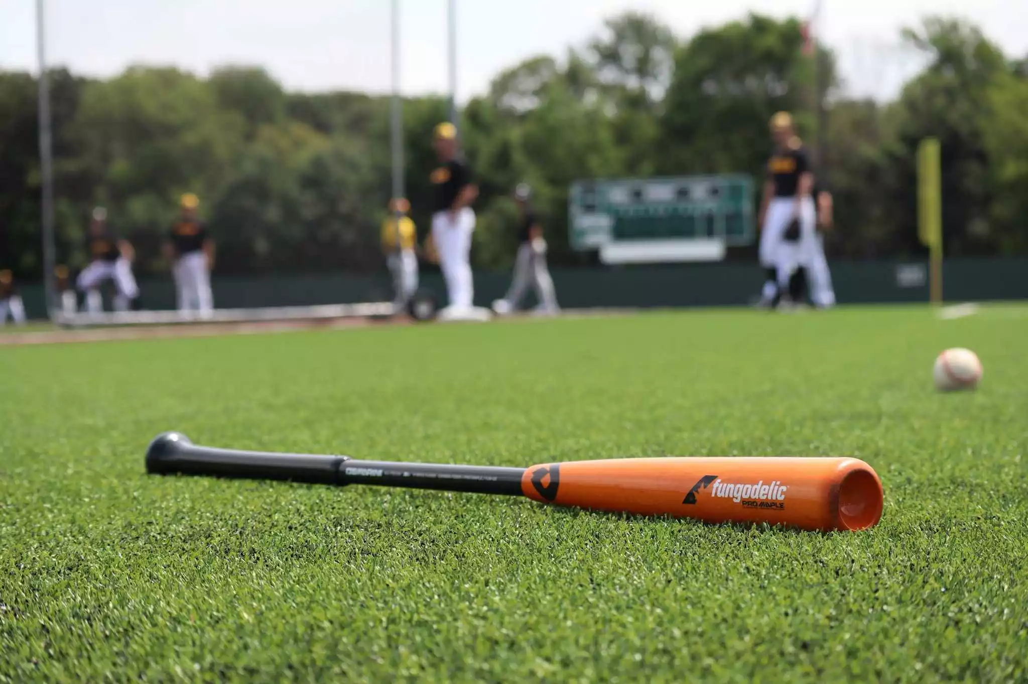 Deals Demarini Store 10 Deals Demarini Store -Deals Demarini Store 84943462