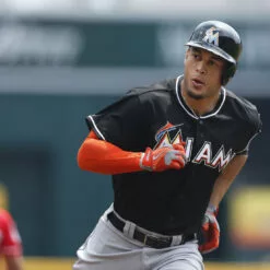 Deals Demarini Store -Deals Demarini Store image 1079