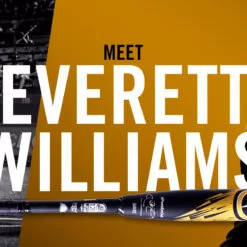 Deals Demarini Store -Deals Demarini Store image 166